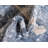 Dunmyer Ikat Indoor Rug-100979504