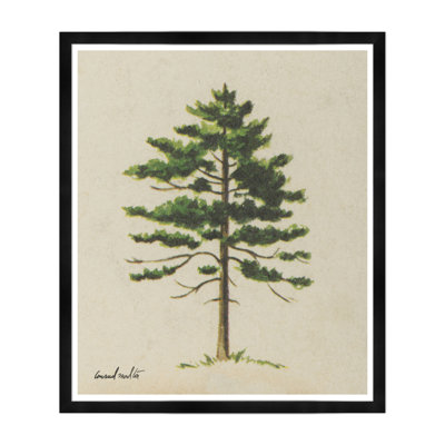 Cedar Print