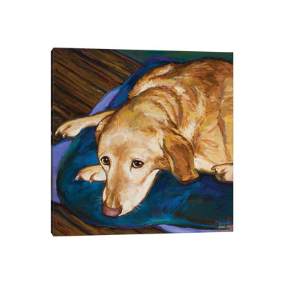 Napping Yellow Lab by Robert Phelps - Wrapped Canvas Painting