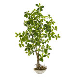 48'' Faux Bonsai Tree in Stone Pot