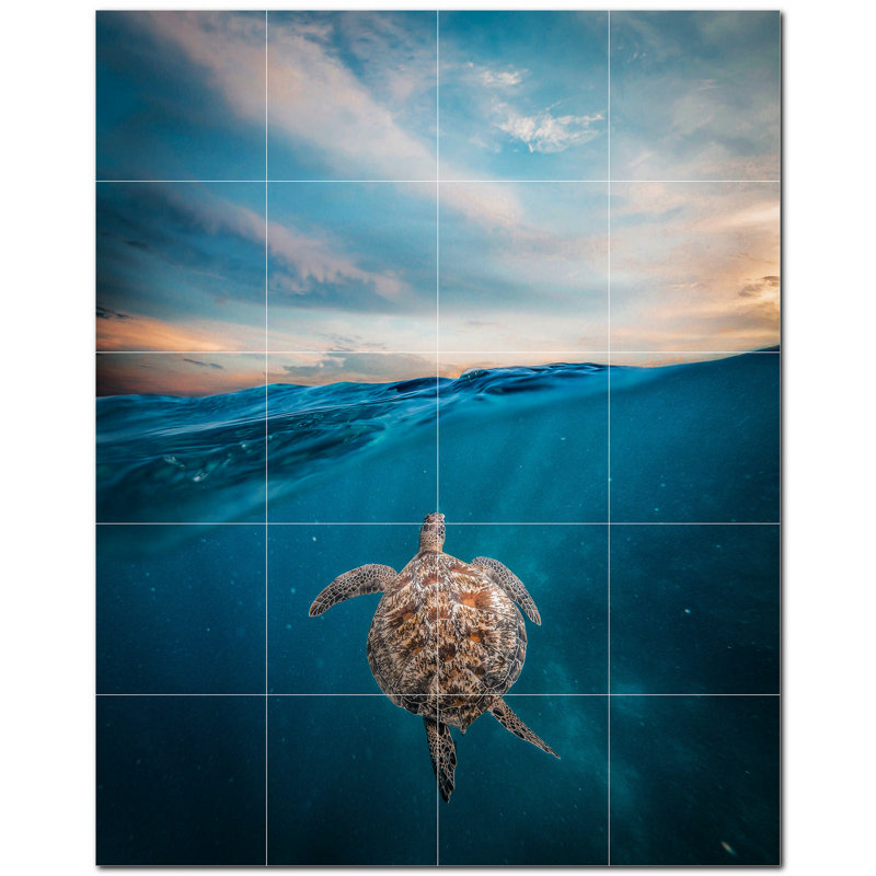 Tortue photo 12 x 12