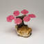 Genuine Rose Quartz Clustered Gemstone Tree On Citrine Matrix (4")