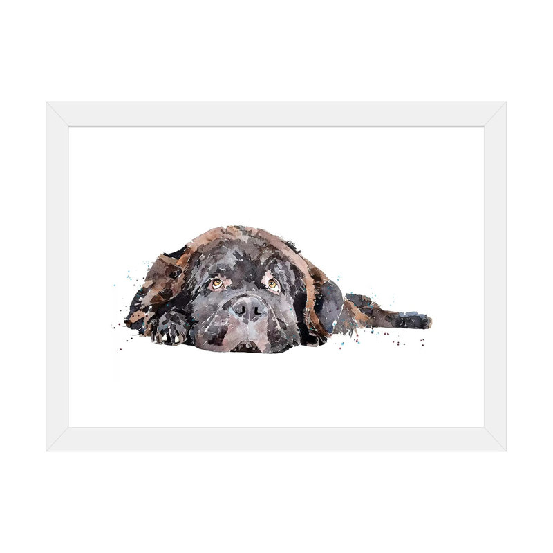 Chien Terre-Neuve imprimé par EdsWatercolours - impression, H 16 po x l 24 po x P 1 po, Papier encadré blanc, Blanc
