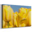 Toile tendue I-Gallery jaune soleil-1928397088