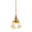 1 - Light Brass Pendant