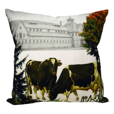 Reversible Throw Pillow