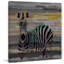 Parvez Taj - Wrapped Canvas Print-15986682