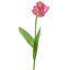 Perroquet doux au toucher 28 po -1420486991