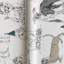 Pets Buddy's Bash Fabric