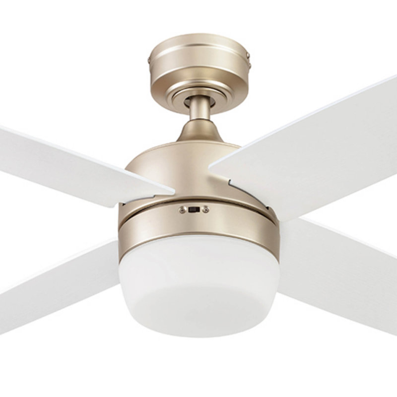 Frittelli 44'' Ceiling Fan with LED Lights and Remote Included, Champagne