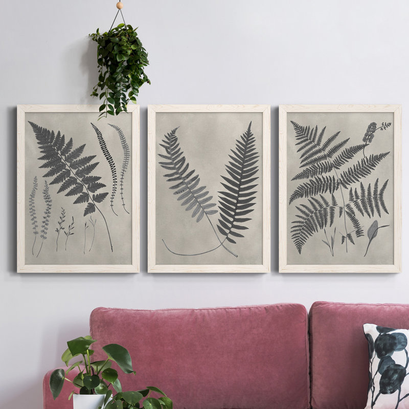 «Vintage Fern Study II», ensemble de 3 reproductions d'art sur toile, Blanc, H 31,5 po x l 47 po x P 1,5 po