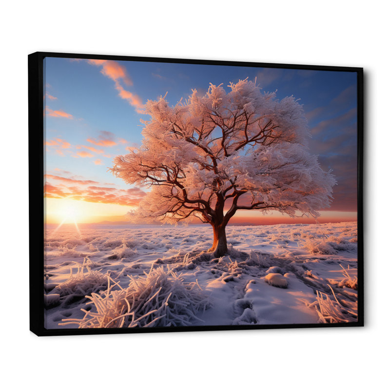 «Pink Tree Winters Sunrise Glow», impression d'art mural de paysages, Cadre flottant noir, H 34 po x l 44 po x P 1,5 po