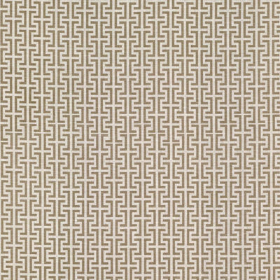 Schumacher x Veere Grenney Temple Fabric