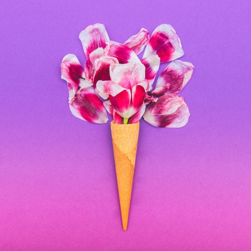 Arsdale Tulips In Cone - Wrapped Canvas Print, 30cm H x 30cm W x 3.8cm D