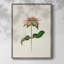 Mauve Garden Flowers V Framed Print - Solid Wood-694767380