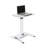 42.5'' Speaker Stand with Adjustable Height