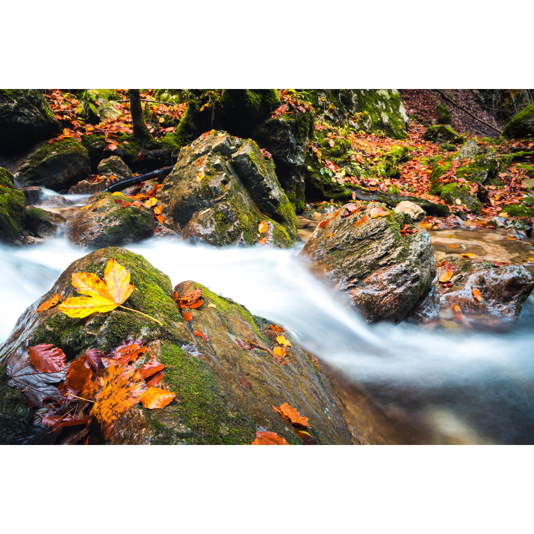 Autumn Stream von Borchee - Kunstdrucke auf Leinwand