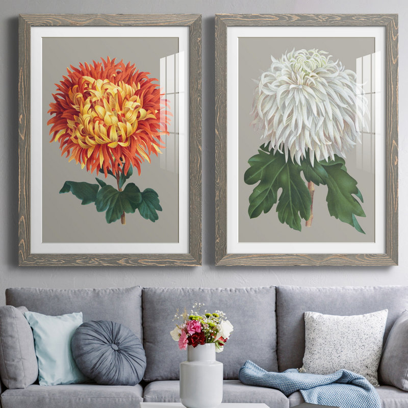«Chrysanthemum on Grey I», ensemble de 2 reproductions d'art, H 31,5 po x l 47 po x P 1,5 po, Cadre en papier gris, Blanc