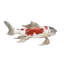 Koi Fish