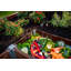 Lit de jardin surélevé en composite 6 pi x 6 pi Urbana-72108494