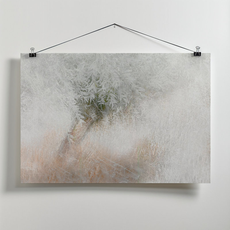 Wrapped Canvas Print, 50.8 cm H x 76.2 cm W