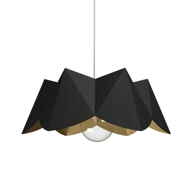 Physalis 1 - Light Pendant, 5.91" H x 13.78" W x 13.78" D, Charcoal