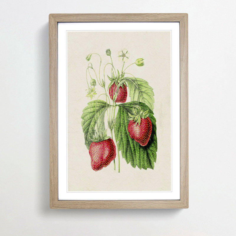 Illustration of Strawberries - Framed Print, Oak Framed, 36cm H x 27cm W x 2cm D