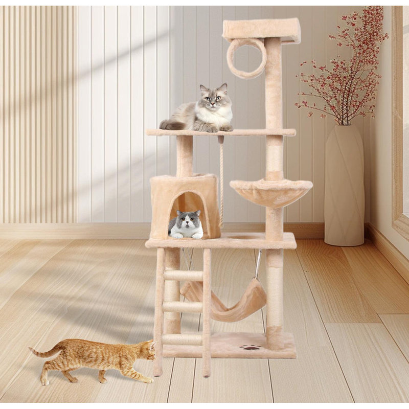 Structure d'escalade pour chat - Arbre à chat à niveaux multiples avec poteaux à griffer et perchoirs