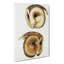 Two Owls by John Gould - Wrapped Canvas-55372165