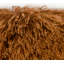 Coussin Winson-110521977-26242814