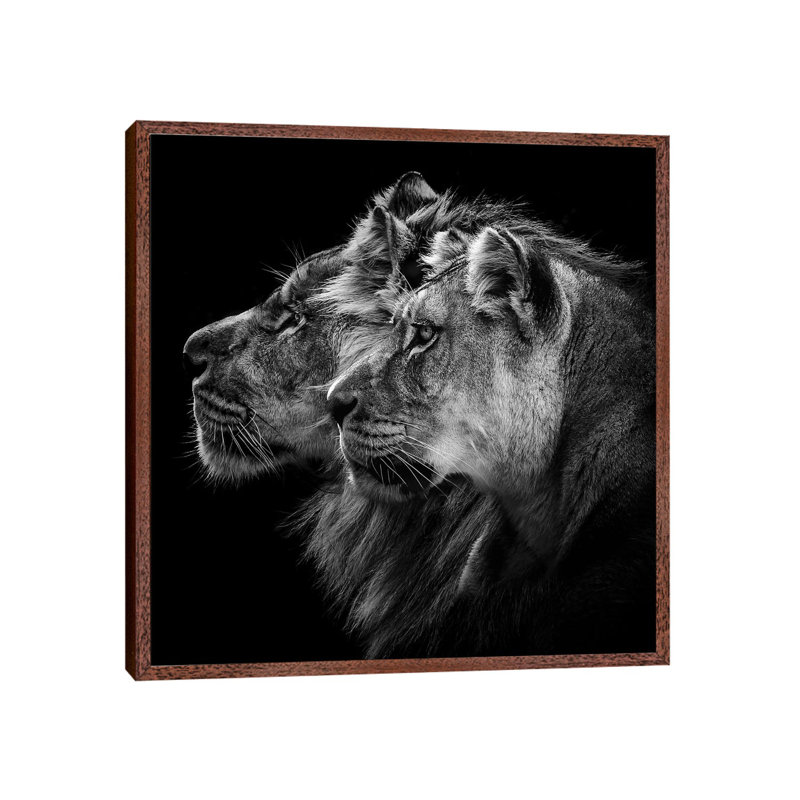 Lion And Lioness Portrait by Laurent Lothare Dambreville - Print on Canvas, Classic Brown Wood Framed