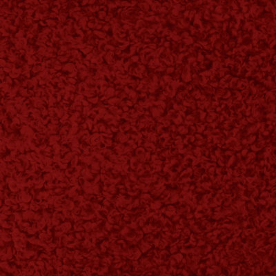 Sherpa Teddy | Kova Fabric