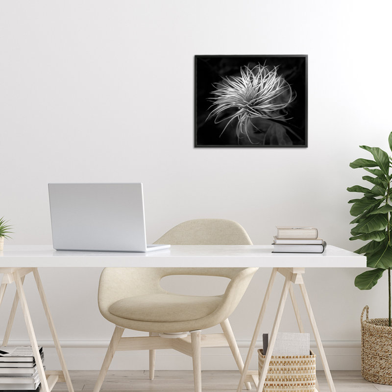 Feuilles torsadées botaniques contrastantes, dessin de Phillip Flowers, H 11 po x l 14 po, Giclée encadrée noir minuit
