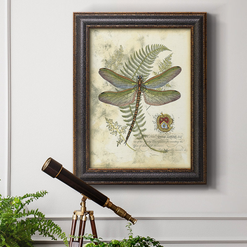 " Regal Dragonfly I (PP) " Painting Print, 20" H x 16" W x 2.5" D