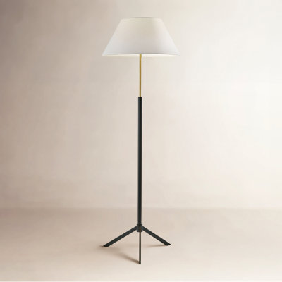59.25'' Dimmable Floor Lamp