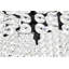 Lustre tambour en cristal 4 lumières Hythe-1889594371-1889594372