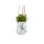 Tiggs Ceramic Hanging Planter-750439836-750423699