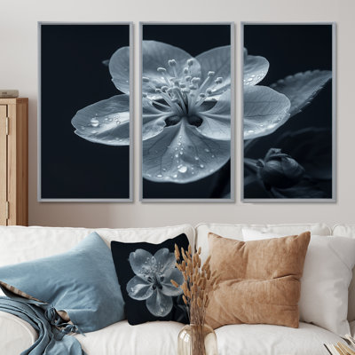 Genao " Genao " 3 - Pieces