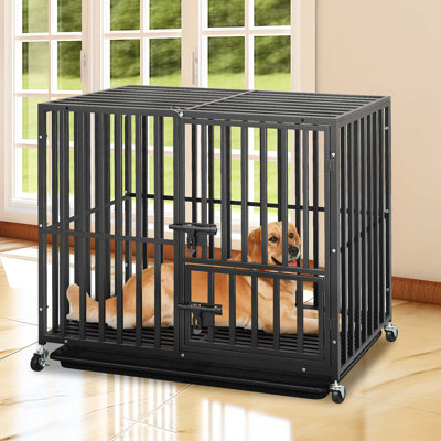 Caisse pour chien Ferndown