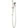 Precept Full/Standard Handheld Shower Head 1.5 GPM GPM