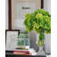 Grand hortensias verts dans un vase