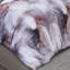 Amber Grey Duvet Cover-1233370167