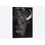 «Black Glimpse I», impression sur toile-29038074-72721163-72721164