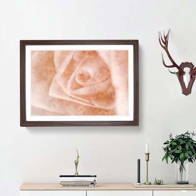 Light Pink Rose - Picture Frame Graphic Art Print