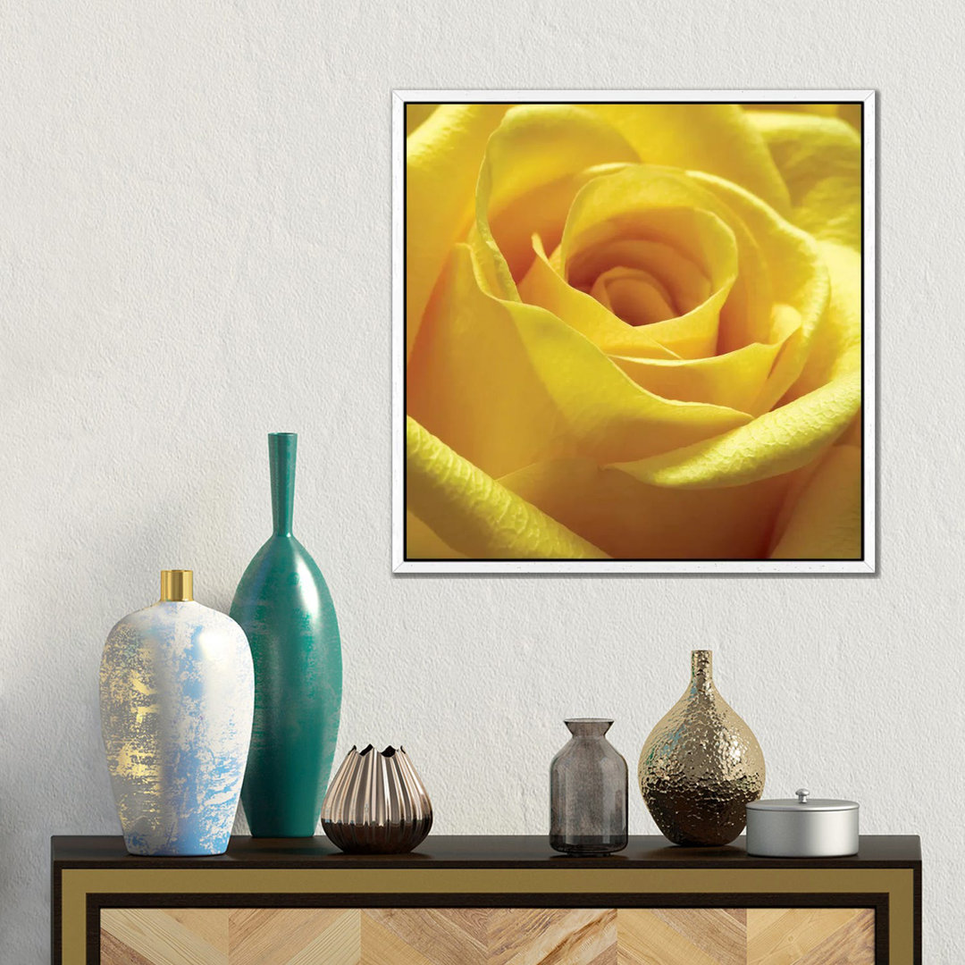 Leinwandbild Yellow Rose von PhotoINC Studio