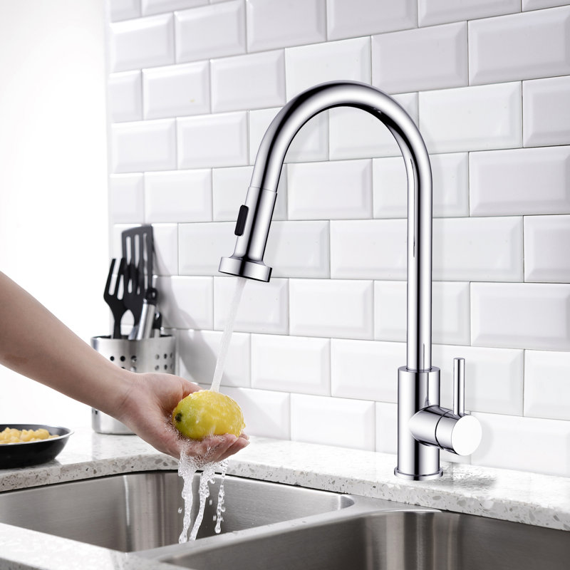 Belfry Kitchen Gambier Pull Out Kitchen Faucet