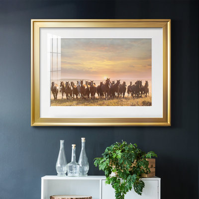 Horse Motion I
