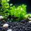 24 LBS River Rock, galet moyen pour aménagement paysager, jardin et aquarium-688934959