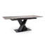 Annetraud Extendable Metal Base Dining Table-256600699