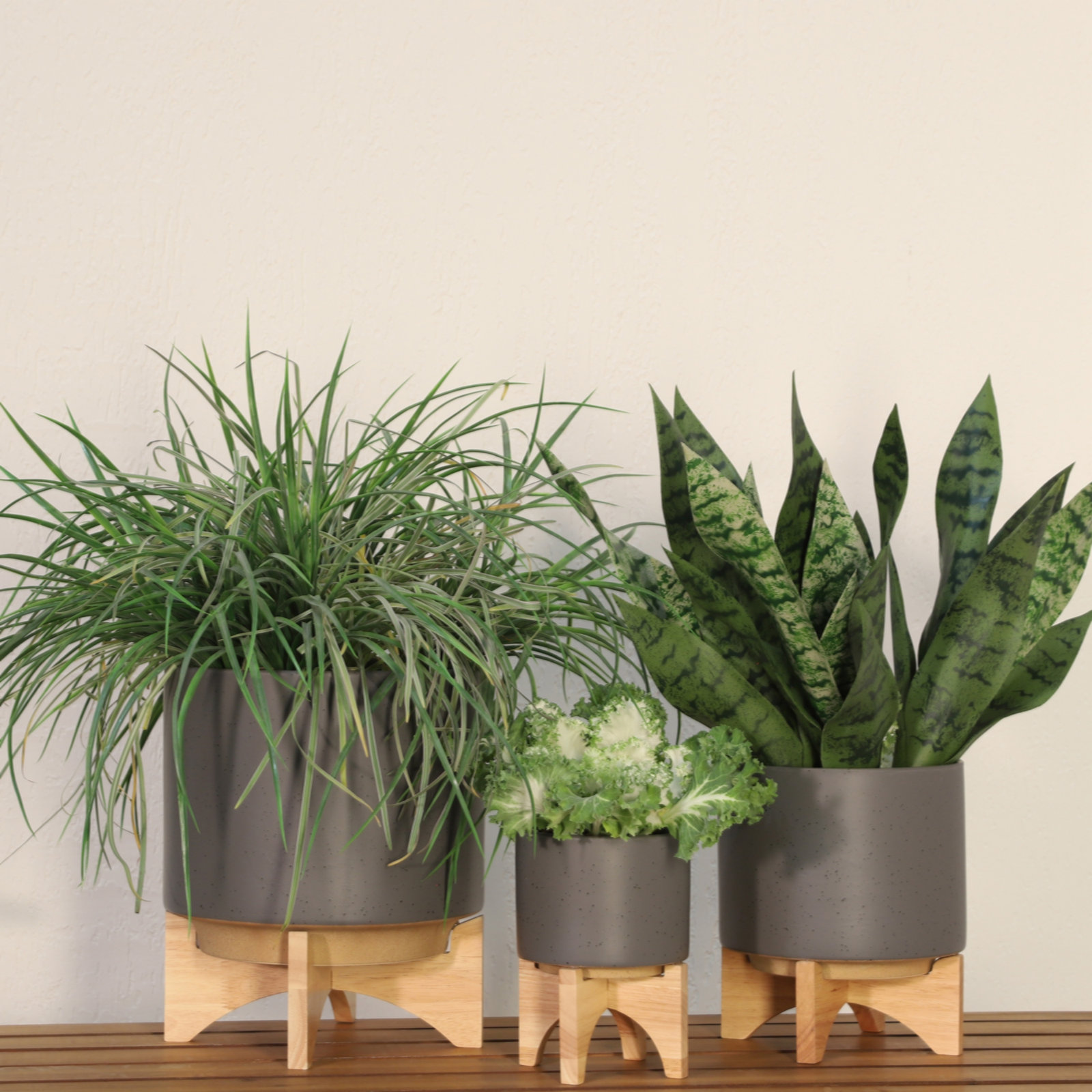 Ascend Ceramic Pot Planter, Gray, 1, 9" H x 8 " W x 8" D